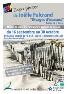 expo_joelle