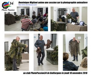dominique-migliani-pp34